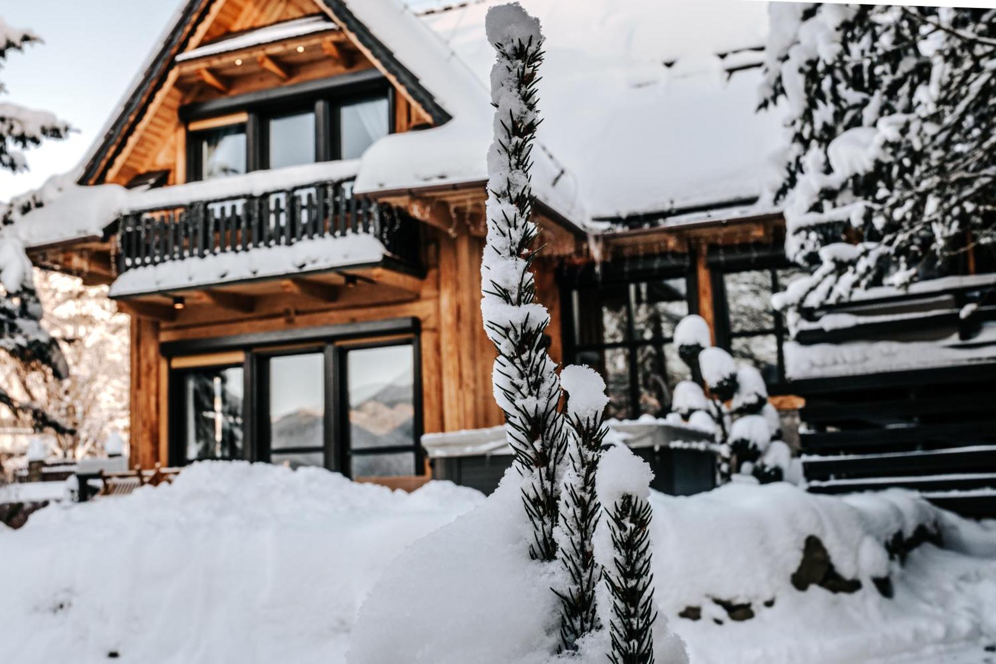 Villa Swiss Na Wylacznosc - Jacuzzi, Sauna, Bilard Kościelisko Kültér fotó